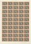 gvsgr979sh (5)